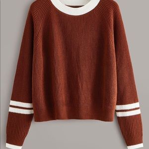Plus Striped Sleeve Round Neck Sweater